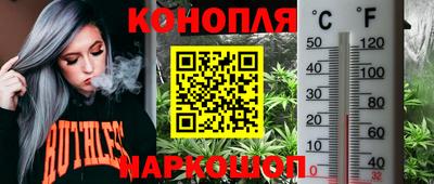 дмт Славянск-на-Кубани