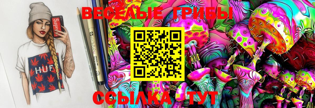 продажа наркотиков  Галлюциногенные грибы GOLDEN TEACHER  Вход с VPN  Псков 